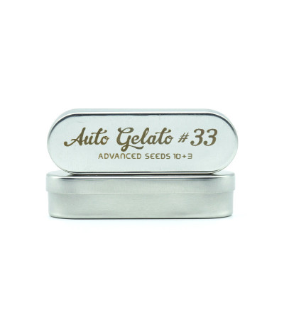 Семена сорта Auto Gelato #33 fem (Advanced Seeds)
