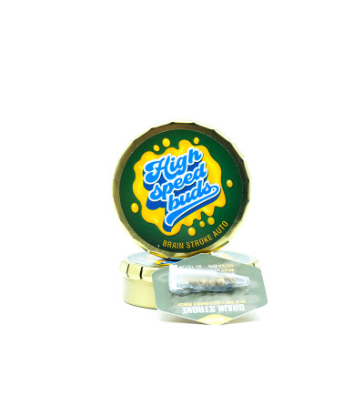 Семена сорта Brain Stroke Auto fem (High Speed ​​Buds)