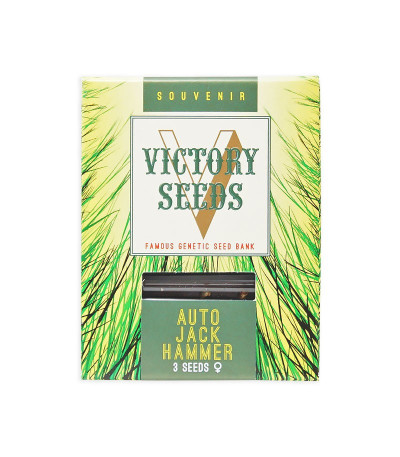 Семена сорта Auto Jack Hammer fem (Victory Seeds)