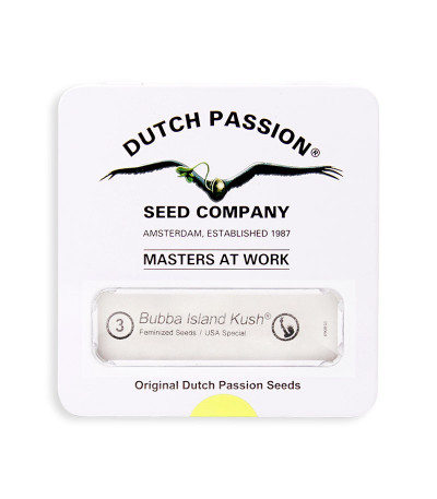 Семена сорта Bubba Island Kush fem (Dutch Passion)