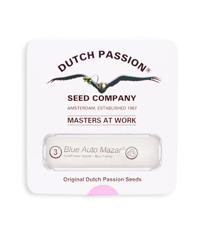 Семена конопли Blue Auto Mazar в оригинальной упаковке