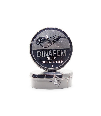 Семена сорта Critical Cheese fem (Dinafem Seeds)