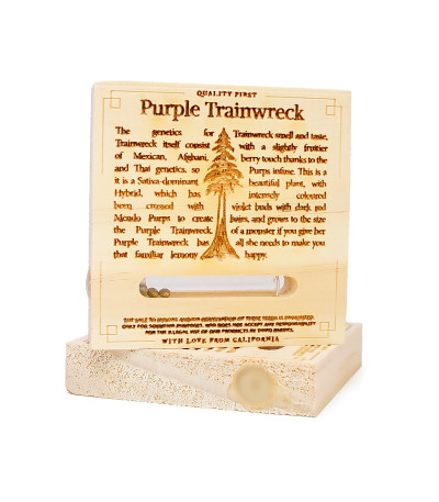 Семена сорта Purple Trainwreck fem