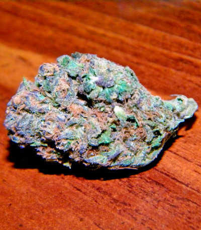 Семена сорта Alaskan Ice fem