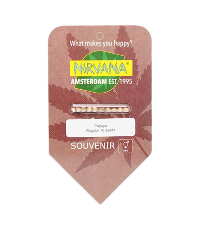 Семена сорта Papaya reg