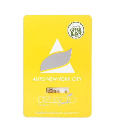 Семена сорта Auto New York City (Pyramid Seeds)