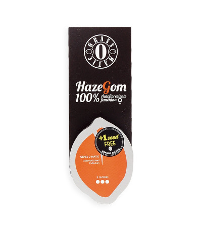 Семена сорта Haze Gom auto fem