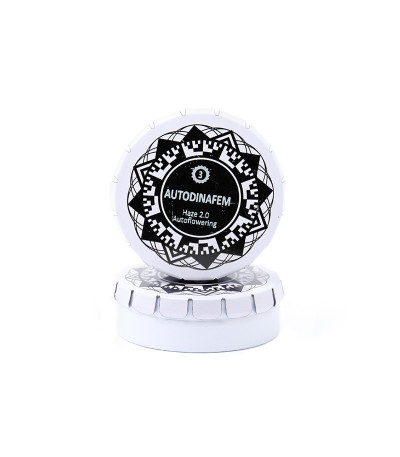 Семена сорта Haze 2.0 Autoflowering fem