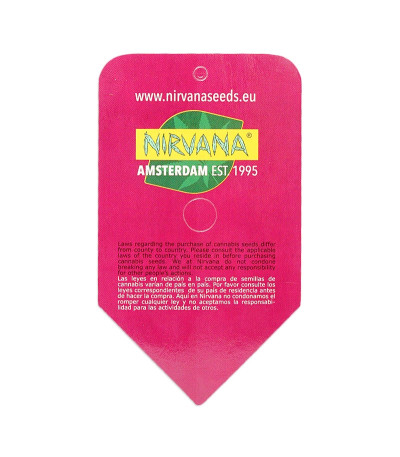 Семена сорта Raspberry Cough fem (Nirvana Seeds)