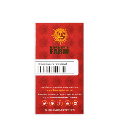 Семена сорта Sin Tra Bajo Auto fem