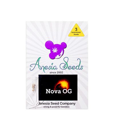 Семена сорта Nova OG (Anesia Seeds)