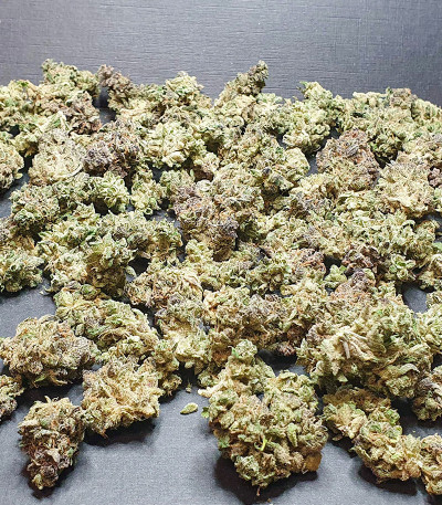 Семена сорта Original Jack Herer Auto fem (FastBuds)