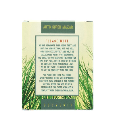 Семена сорта Auto Super Mazar fem (Victory Seeds)