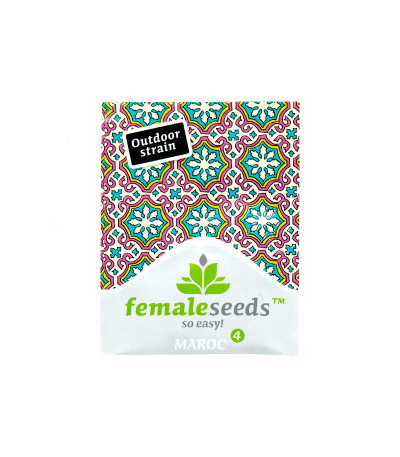 Семена конопли Maroc в оригинальной упаковке