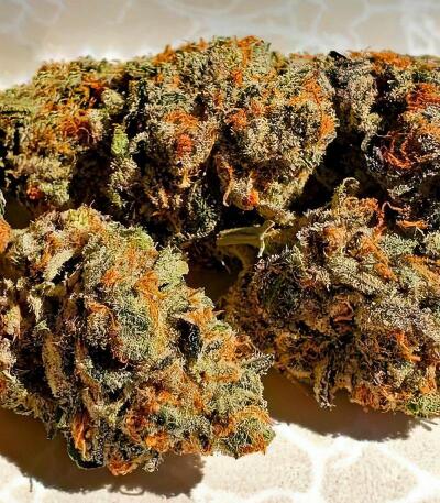Семена сорта Mandarin Cookies fem (7CH American)