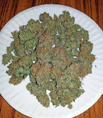 Семена сорта Strawberry Cake fem (Heavyweight Seeds)