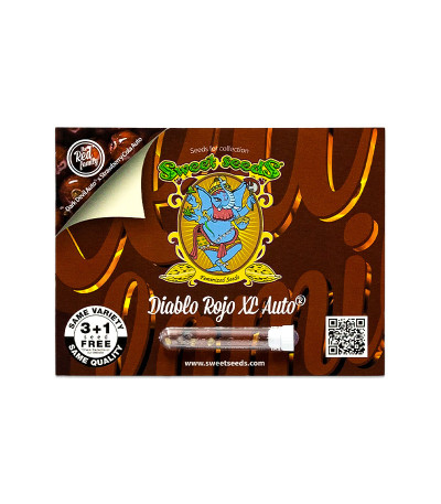Семена сорта Diablo Rojo XL Auto fem (Sweet Seeds)