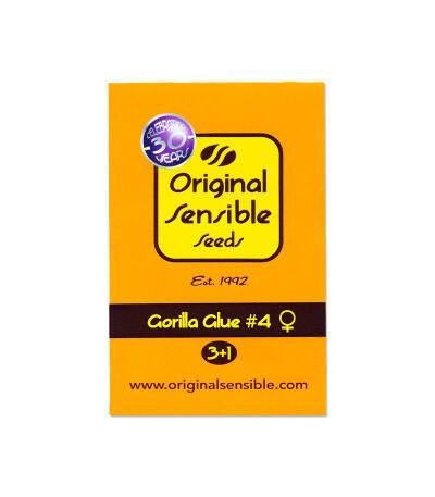 Семена сорта Gorilla Glue #4 fem (Original Sensible Seeds)