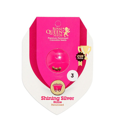 Семена сорта Shining Silver Haze fem (Royal Queen Seeds)