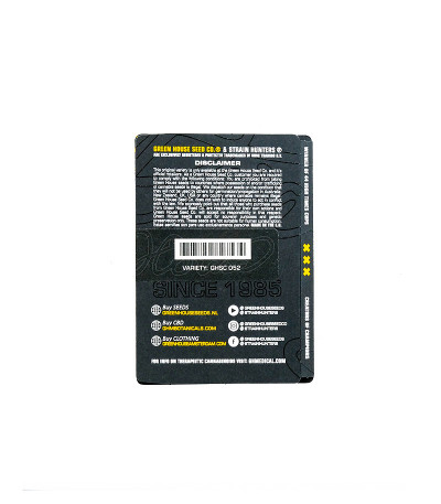 Семена сорта Arjan's Haze #3 fem