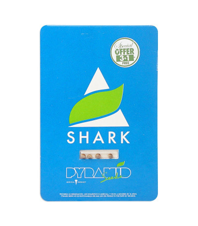 Семена сорта Shark fem (Pyramid Seeds)