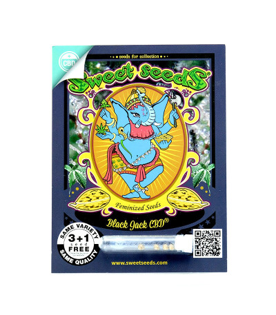 Семена сорта Black Jack CBD fem (Sweet Seeds)