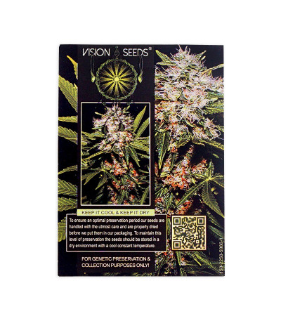 Семена сорта Mighty Mango Bud fem (Vision Seeds)