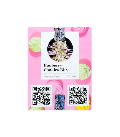 Семена сорта Booberry Cookies RBX fem (Ethos Genetics)