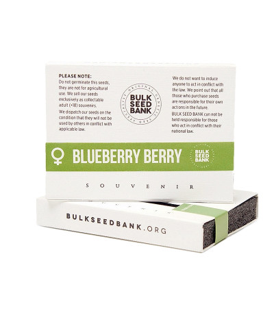 Семена сорта Blueberry Berry fem
