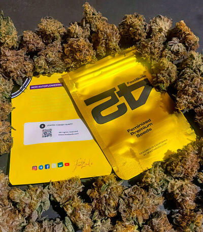 Семена сорта Lemon Cherry Runtz fem (FastBuds)