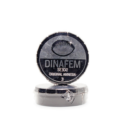 Семена сорта Original Amnesia fem (Dinafem Seeds)