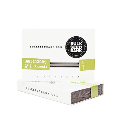 Семена сорта Auto Cocopopo fem