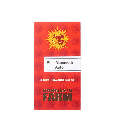 Семена конопли Blue Mammoth Auto в оригинальной упаковке