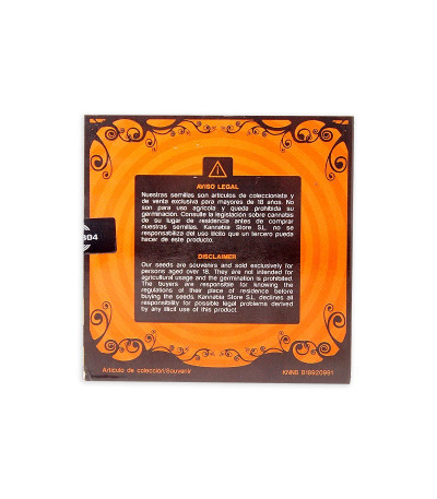 Семена сорта Big Band fem