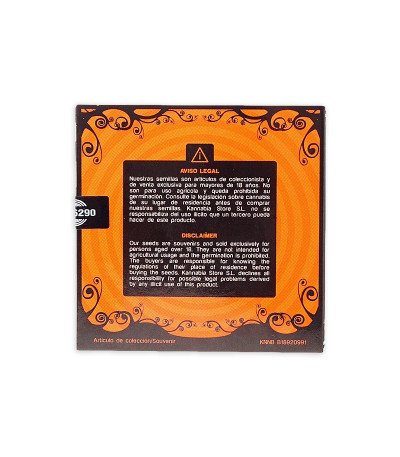 Семена сорта Kannabia Special Max Auto fem