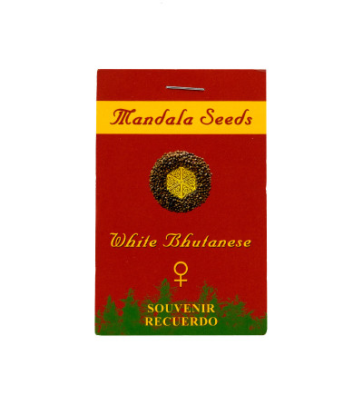 Семена сорта White Bhutanese fem