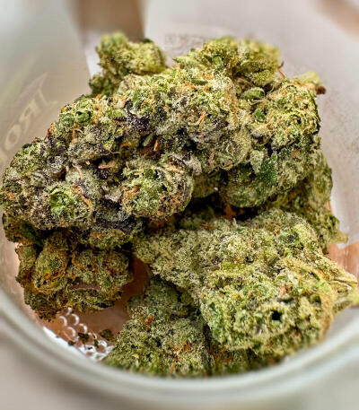 Семена сорта Gator Breath fem (7CH American)