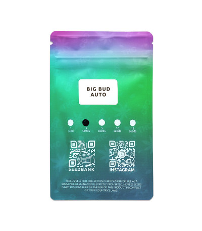 Семена сорта Big Bud Auto fem (Herbies Seeds)