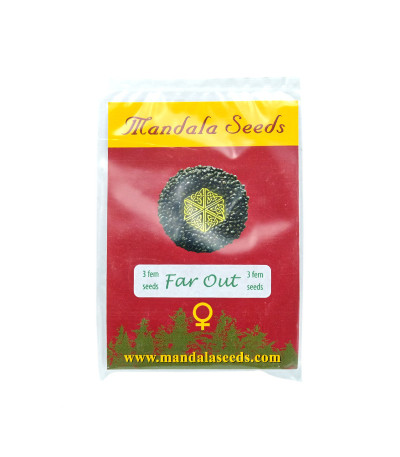 Семена сорта Far Out fem
