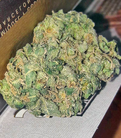 Семена сорта White Russian reg (Serious Seeds)