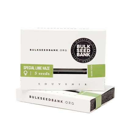 Семена сорта Special Lime Haze fem