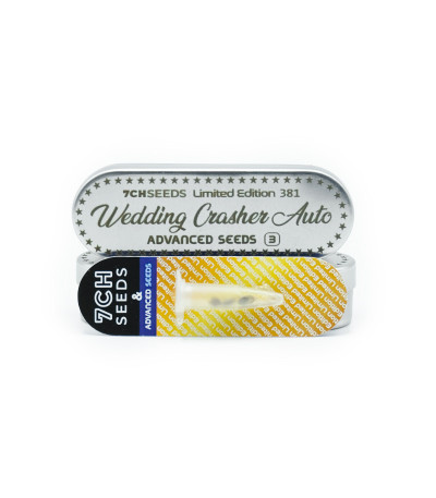 Семена сорта Wedding Crasher Auto fem (7CH Seeds & Advanced Seeds)