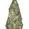 Семена сорта Old Afghani reg (Sumo Seeds)
