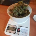strawberry-pie-auto-fem-fastbuds.jpg