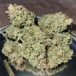 lemon-cherry-gelato-auto-r3-fem-ethos-genetics.jpg