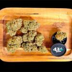 guava-auto-fem-fastbuds.jpg
