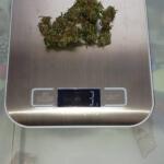 whiskey-zulu-auto-fem-7ch-american.jpg