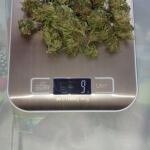 whiskey-zulu-auto-fem-7ch-american.jpg