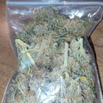 purple-punch-og-xl-auto-fem-sweet-seeds.jpg