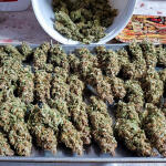 gelato-auto-fem-Semyanich.jpg